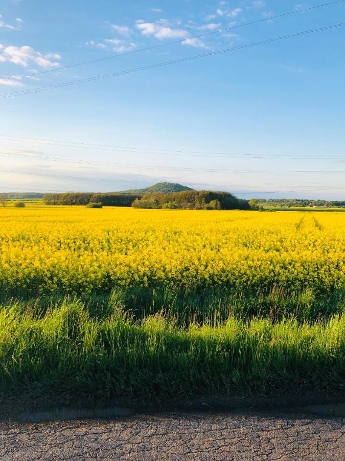 Nibylandia Motylkowa Villa Nowa Wies Grodziska Dış mekan fotoğraf