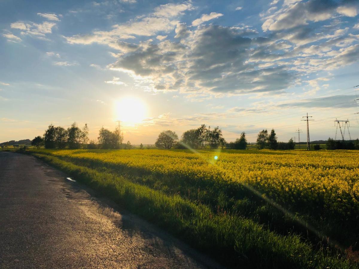 Nibylandia Motylkowa Villa Nowa Wies Grodziska Dış mekan fotoğraf